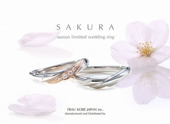 桜シリーズ.jpg