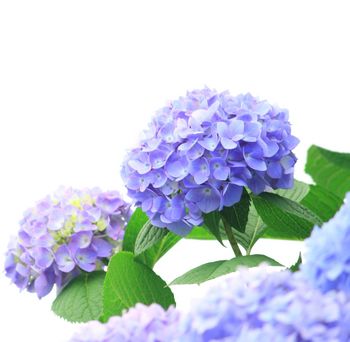 Fotolia_32964942_Subscription_Monthly_XL.jpg