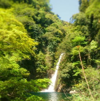 Fotor_147088847668742.jpg