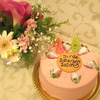 kobasan birth 6.jpg